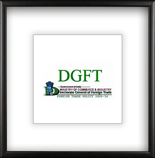 DIRECTOR GENERAL OF FOREIGN TRADE