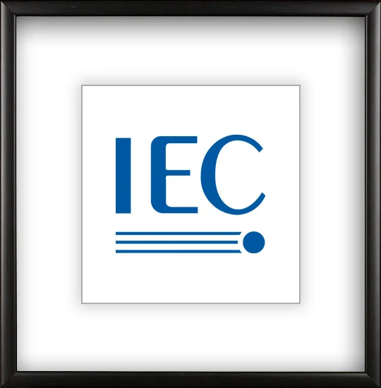 IMPORT EXPORT CERTIFICATE LOGO