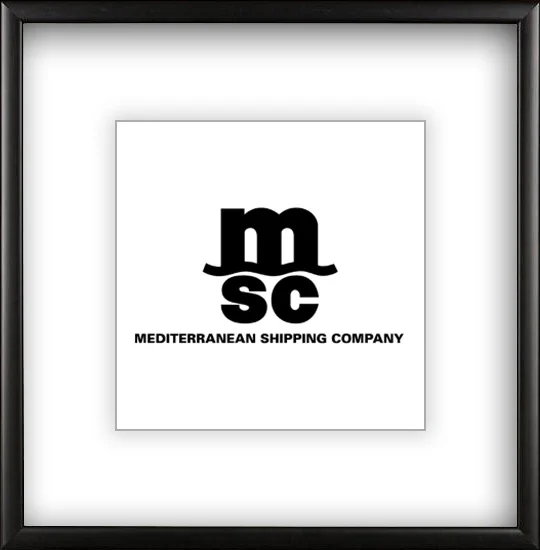 MEDITRIAN SHIPPING COMPANY LOGO